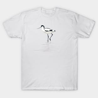 Pied Avocet T-Shirt